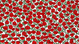 Brain Teaser: Can you find the crab in the poppy field?