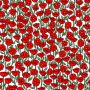 Brain Teaser: Can you find the crab in the poppy field?