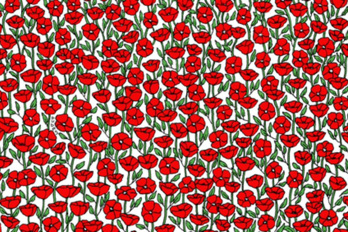 Brain Teaser: Can you find the crab in the poppy field?