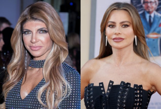 Teresa Giudice claims that Sofía Vergara is the ‘rudest’ celebrity