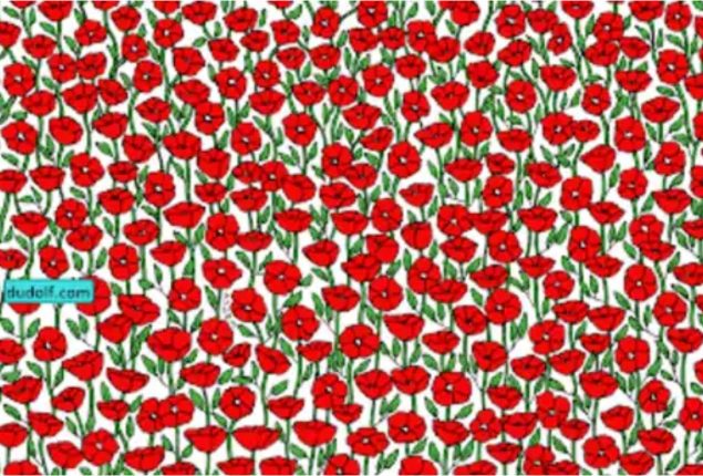 Can You Spot the Hidden Crab in the Poppy Field? A Brain Teaser Challenge!
