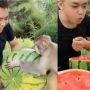 Heartwarming Friendship: Man Shares Watermelon with Monkey