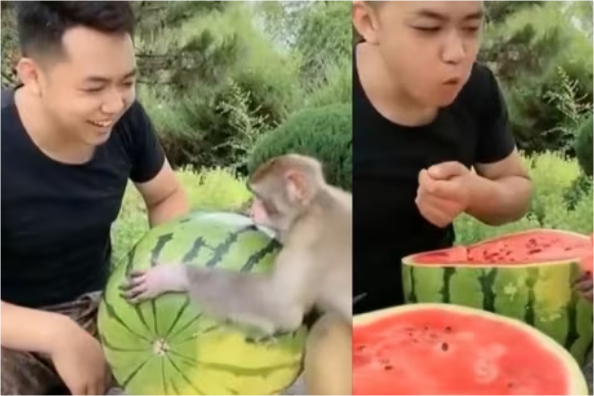 Heartwarming Friendship