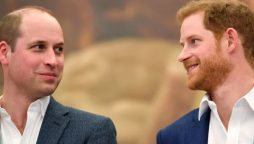 Prince William extended an olive branch to Prince Harry