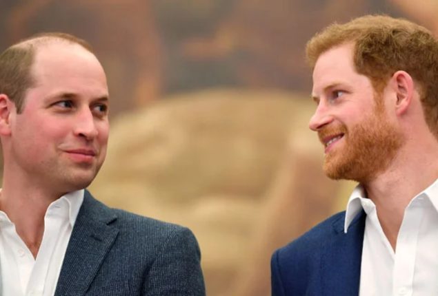 Prince William extended an olive branch to Prince Harry