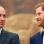 Prince William extended an olive branch to Prince Harry