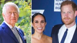 King Charles Harry Meghan