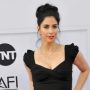 Sarah Silverman files lawsuit against makers of ChatGPT and LLaMA