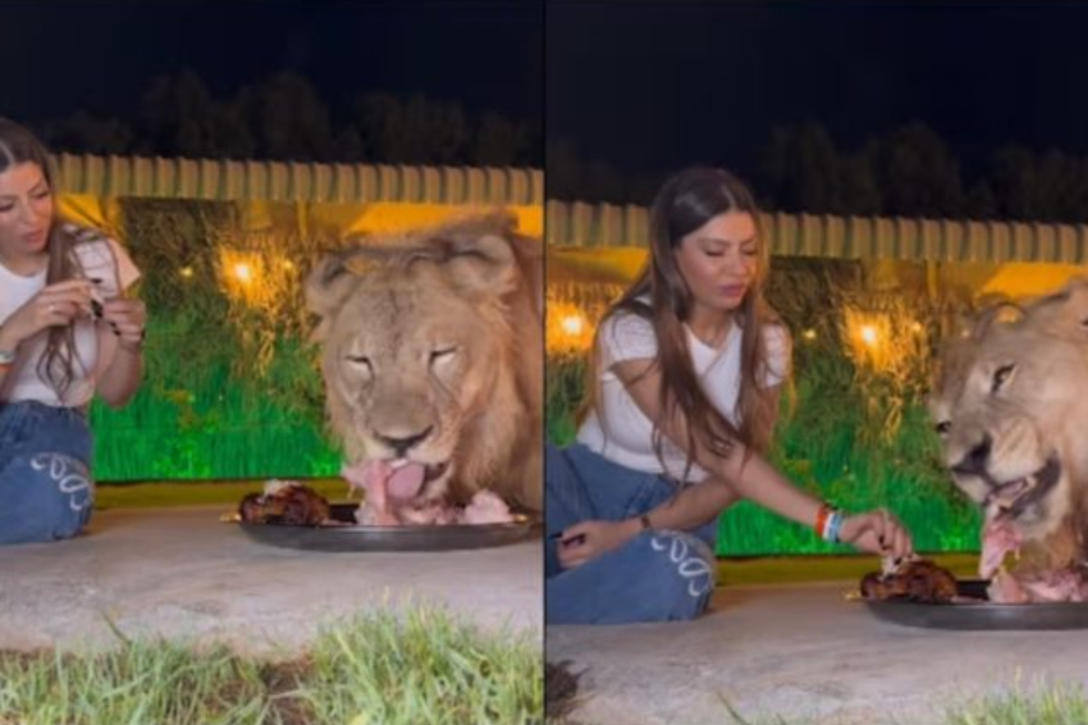 Viral Video: Lion and Woman Share Meal from the Same Plate