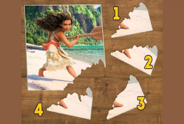 Test your observation skills by finding the correct puzzle piece