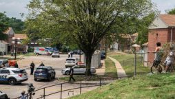 Over dozen people died in Independence Day shooting in US