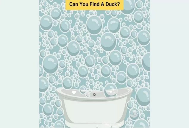 Brain teaser challenge: Find the duck quickly within 6 seconds