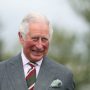 King Charles Competitiveness: A Legacy of Tension and Turmoil
