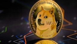 Doge Price Prediction