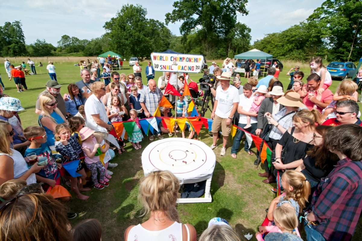 Snail Racing Championships