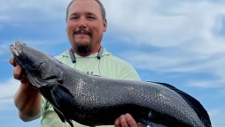 Maryland Man Catches 21-Pound Northern Snakehead