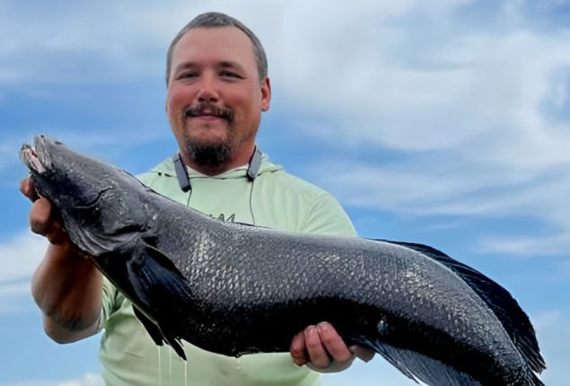 Maryland Man Catches 21-Pound Northern Snakehead