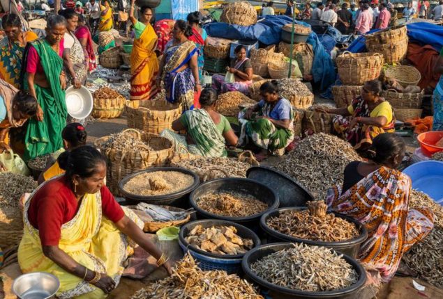 ﻿UN aims to address ‘broken’ global food system