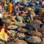 ﻿UN aims to address ‘broken’ global food system