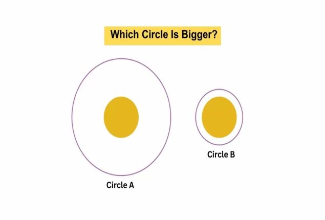 Optical Illusion IQ Test: Find which circle is bigger in this picture