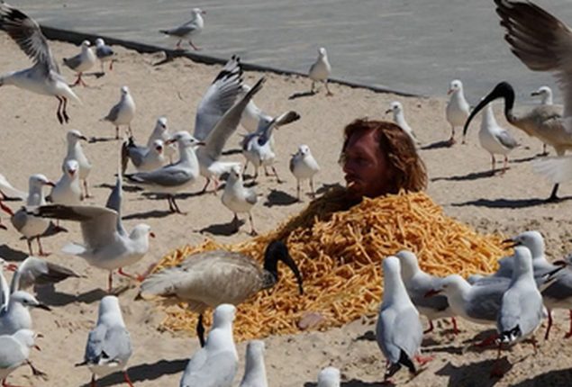 Man Escapes Seagull Chase While Eating Chips