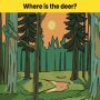 Visual Test: Can you spot the deer in the woods in 7 seconds?