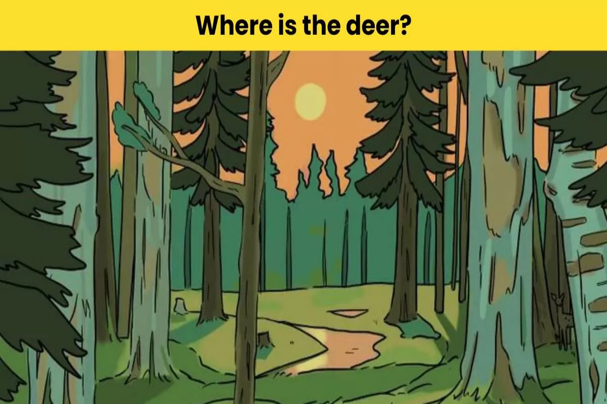 Visual Test