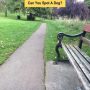 Brain teaser challenge: Spot The Dog Within 6 Seconds