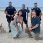 Teen’s Metal Detector Saves Beachfront Proposal