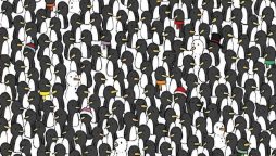 Optical Illusion Test: Can You Find 3 Cats in 10 Seconds?