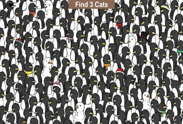 Optical Illusion Test: Can You Find 3 Cats in 10 Seconds?