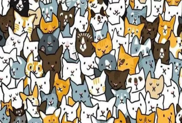 Optical Illusion: Find the hidden bunny among the Cats