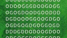 Brain Teaser: Can you find the word ”DOG” in picture in 5 seconds