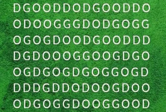 Brain Teaser: Can you find the word ”DOG” in picture in 5 seconds
