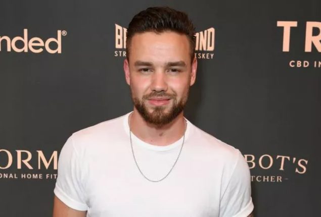 Liam Payne talks about the contentious remarks on Zayn Malik