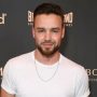 Liam Payne talks about the contentious remarks on Zayn Malik