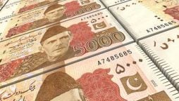 Govt Employees Salaries