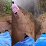 Viral Video: Head-Spinning Trek in Maharashtra
