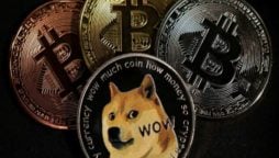 Doge Price Prediction