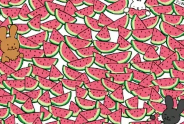 Help the Bunnies: Find Five Seedless Watermelons!