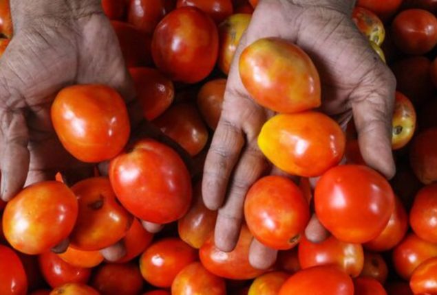 Tomatoes more costly than gasoline in India