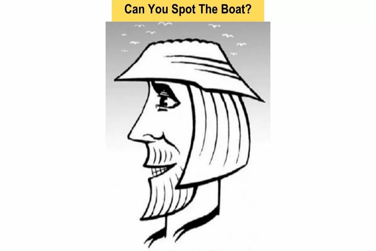 Optical Illusion Test