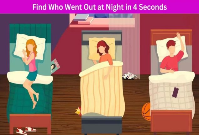 Brain Teaser: Can you find who went out of House at Night in 4 Seconds?