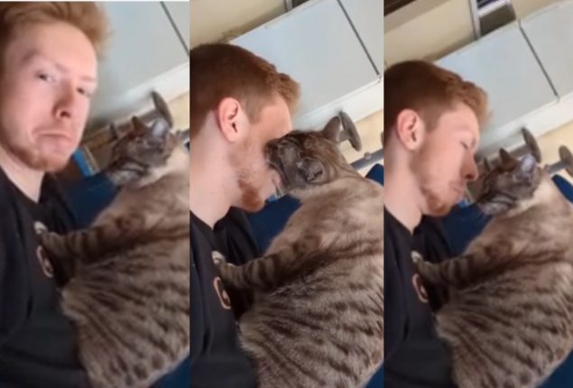Cat Gives a Kiss