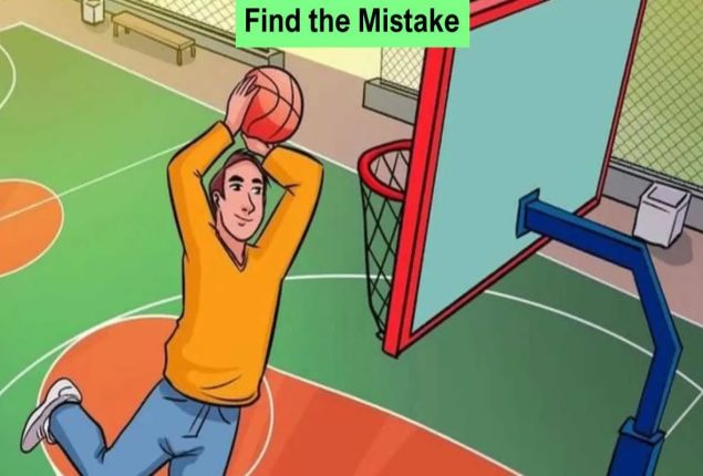 Seek and Find Puzzle: Can You Find the Mistake in the Picture!