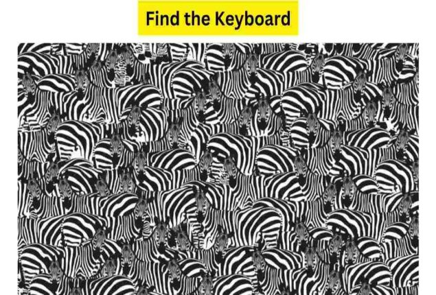 Optical Illusion Test: Find the Keyboard hidden among the Zebras