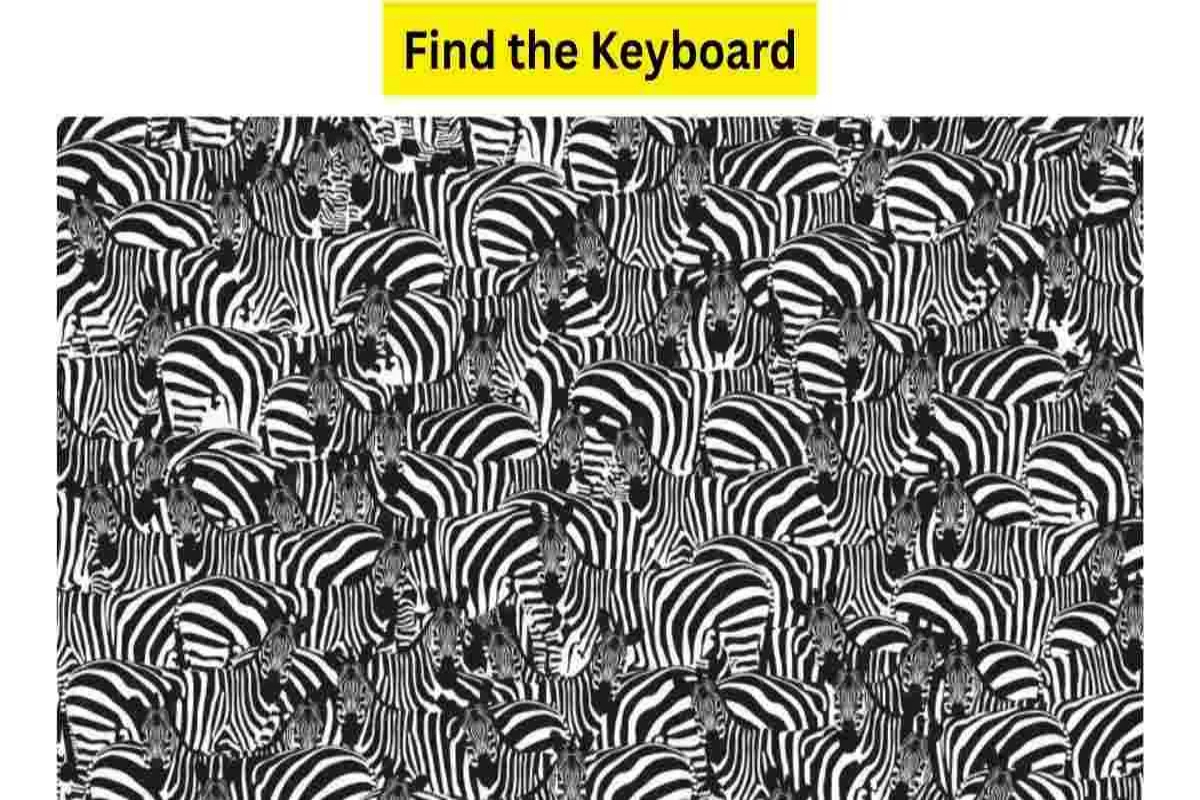 Optical Illusion Test