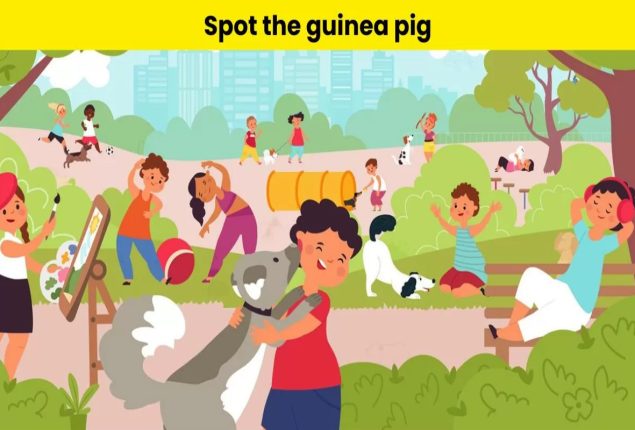 Optical illusion puzzle: Spot hidden guinea pig in park in 8 seconds