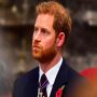 Prince Harry makes accusations against King Charles and Prince William