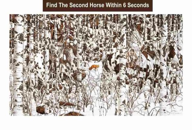 Optical Illusion Challenge: Spot the second horse within 6 seconds!